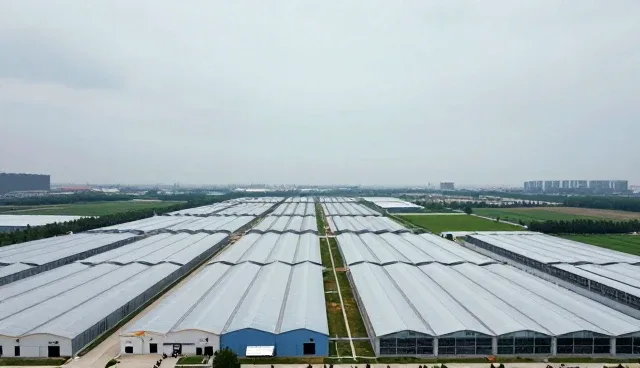技术适配在设备使用中的关键作用与实践建议